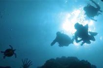 CARNIVAL - Come back to the sea